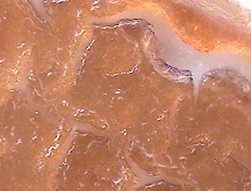 Used Oil Deposit Image