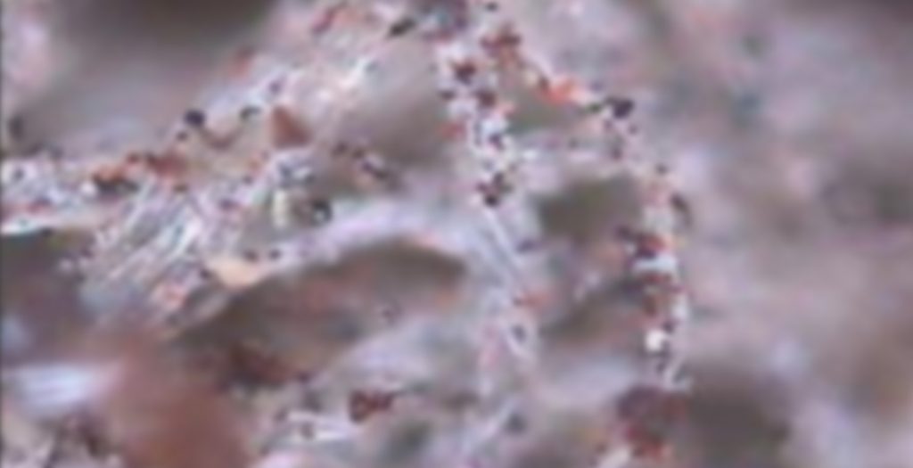 Oil Filter Debris Analysis (FDA) R&T Reliability Technologies PL